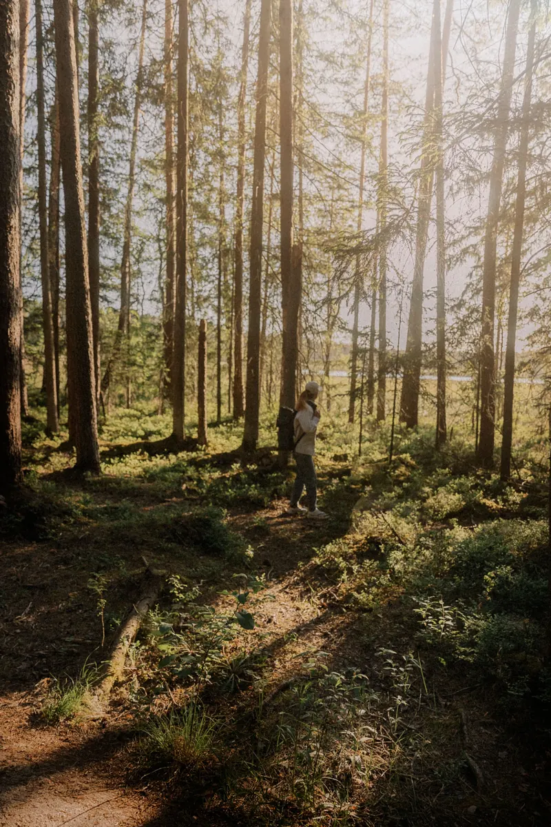 Une femme marche sur un chemin de forêt ensoleillé